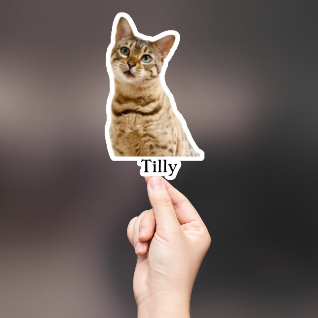 Adesivo Pet Sticker Personalizado, Dog Sticker Personaliza (Criador carregado)