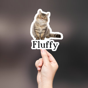 Adesivo Pet Sticker Personalizado, Dog Sticker Personaliza