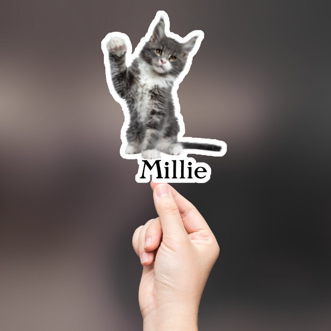 Adesivo Pet Sticker Personalizado, Dog Sticker Personaliza (Criador carregado)