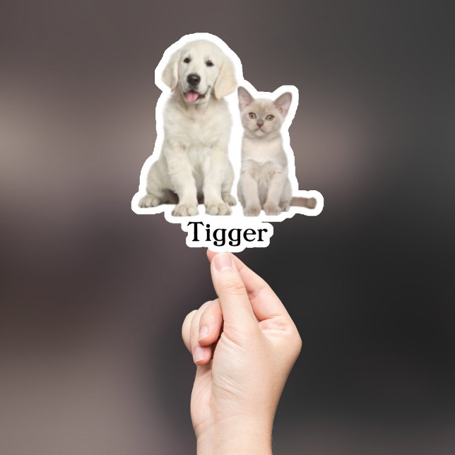 Adesivo Pet Sticker Personalizado, Dog Sticker Personaliza (Criador carregado)