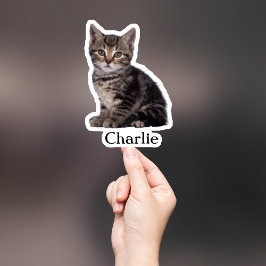 Adesivo Pet Sticker Personalizado, Dog Sticker Personaliza