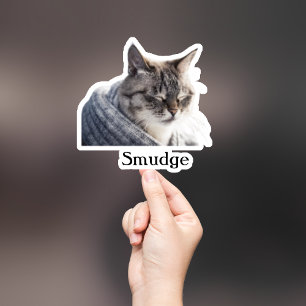 Adesivo Pet Sticker Personalizado, Dog Sticker Personaliza