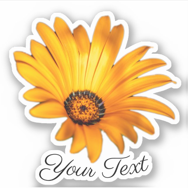 Adesivo Pétalas de flores amarelas da flor de laranja na p (Frente)