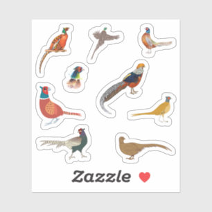 Adesivo Pheasant Stickers