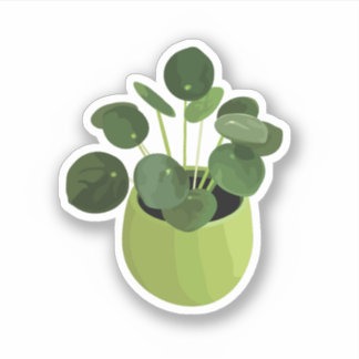Adesivo Pilea Peperomioides House Sticker