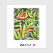 Pilha De Pimentos Espicosos Verdes