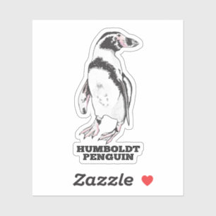 Adesivo Pinguim Humboldt