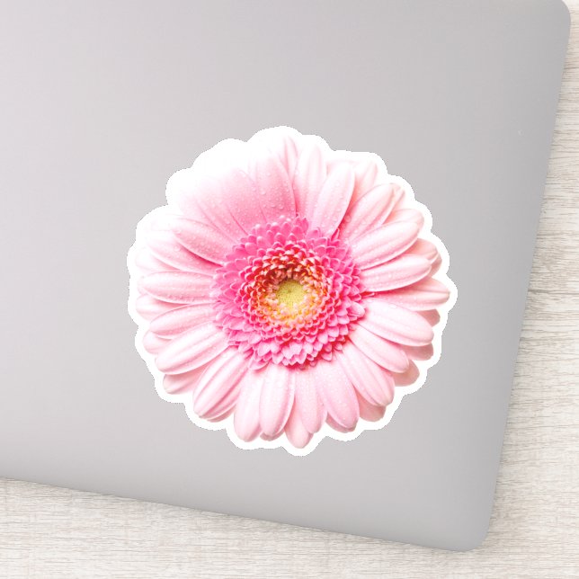 Adesivo Pink Daisy Bonito Sticker (Detalhe)