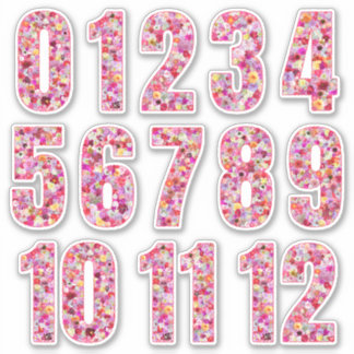 Adesivo Pink Floral Numbers Twelve Months