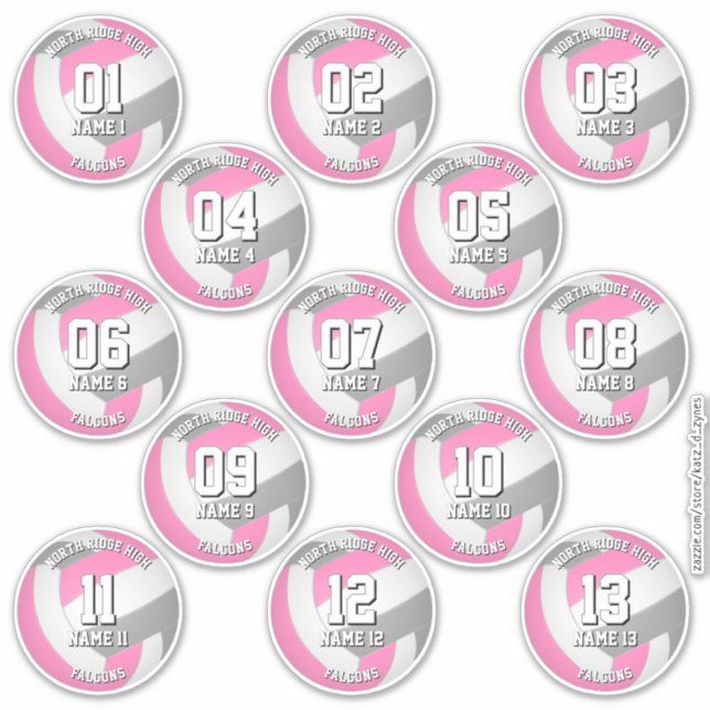 Adesivo pink gray volleyball team stickers 13 athletes (Frente)