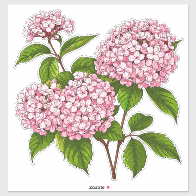 Adesivo Pink Hydrangea Flowers in Full Bloom (Folha)