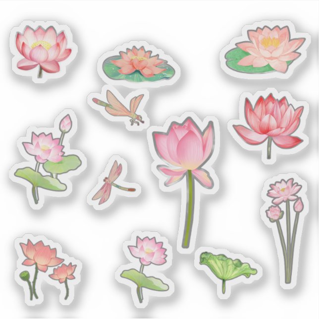 Adesivo Pink Lotus Flower Stickers (Frente)
