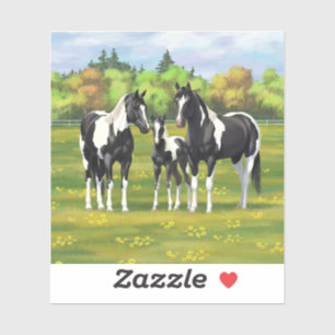 Adesivo Pinto Negro Pinto Quarto Cavalos Em Pastagem De Ve