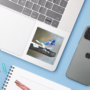 Adesivo Pintura Blue Jay - Arte Original para Pássaros