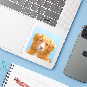 Adesivo Pintura de Cachorro de Retriever com Tolerância a