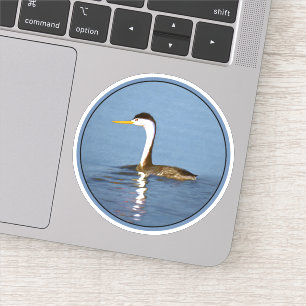 Adesivo Pintura de Clark's Grebe - Arte Original de Pássar
