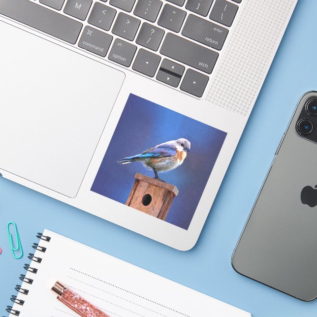 Adesivo Pintura de pássaro-azul (feminina) - Arte de pássa (Notebook com iPhone)