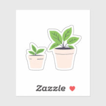 Plantas em Vasos