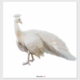 Adesivo Poda branca de pavão