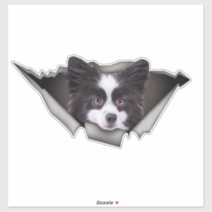 Adesivo Pomeraniana Dog Dog Adeskers Pomeraniano