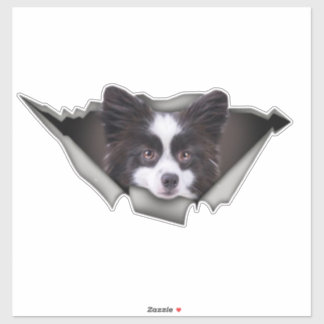 Adesivo Pomeraniana Dog Dog Adeskers Pomeraniano