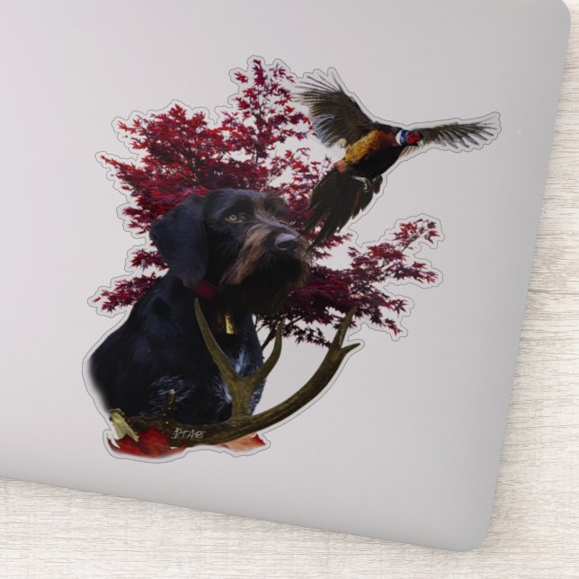 Adesivo Ponteiro alemão Wirehaired (Detalhe)