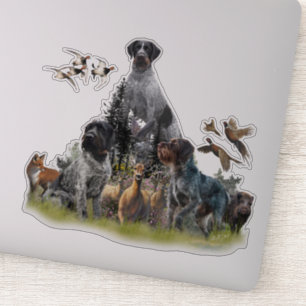Adesivo Ponteiro alemão Wirehaired