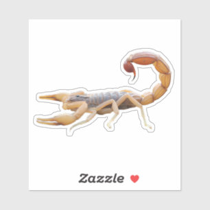 Adesivo Pontuação Escorpion