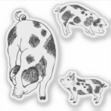 Porco preto e branco fofo desenhado à mão com manc