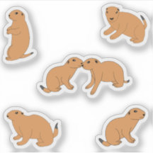 Prairie Dogs