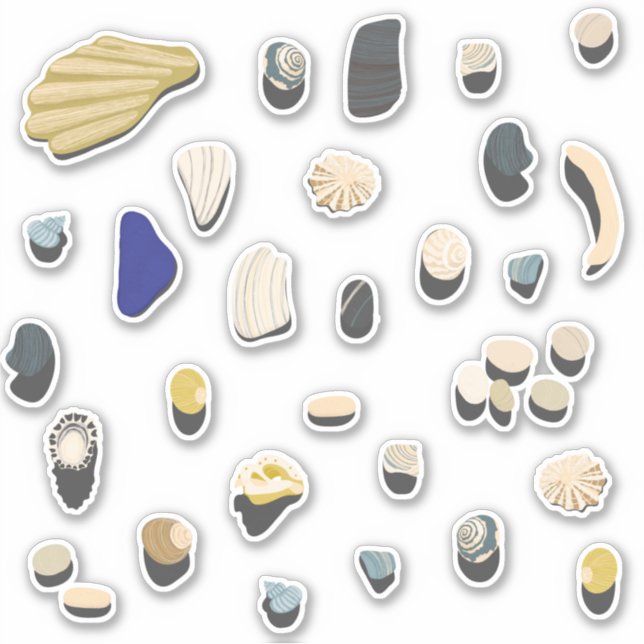 Adesivo Prateleiras de conchas e pebbles (Frente)