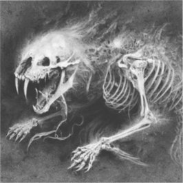 Adesivo PREDAÇÃO | Vinheta