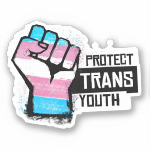 Adesivo Proteger a Juventude Trans - Punho do Orgulho