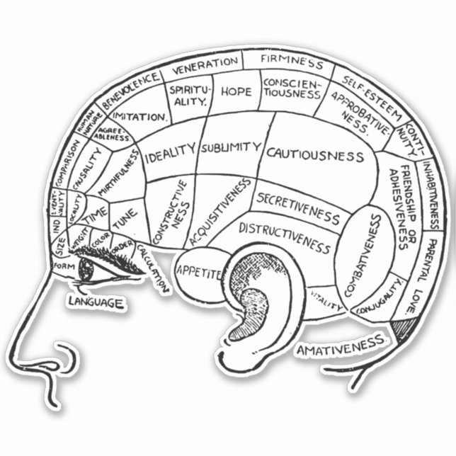 Adesivo Psicologia vintage frenologia cérebro de psiquiatr (Frente)