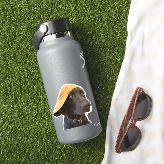 Adesivo Pudelapontador Cachorro Vinil Sticker (HydroFlask Insitu)