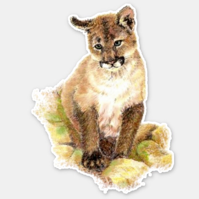 Adesivo Puma da aguarela, puma, animal de Cub de leão da