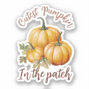 Adesivo Pumpkin mais sujo do sistema