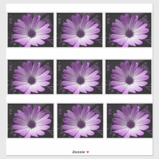 Adesivo Purple Daisy Flower (Folha)
