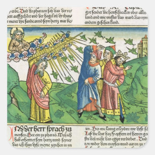 Adesivo Quadrado 10:1 do êxodo - 20 os sete pragas de Egipto: o pl