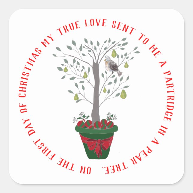 Adesivo Quadrado 12 dias de Partucho de Natal em uma árvore genealó (Frente)