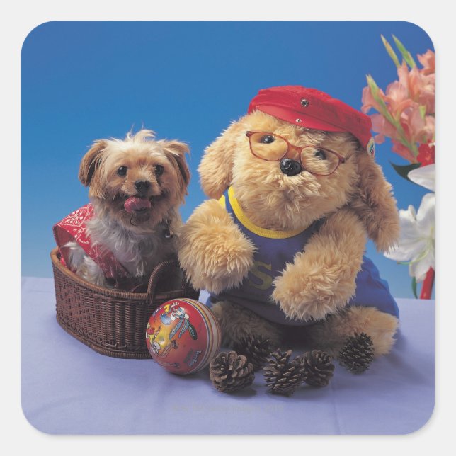 ADESIVO QUADRADO 24095241 (Frente)