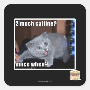 Adesivo Quadrado 2 muito caffine?