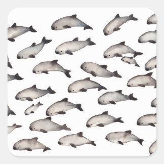 Adesivo Quadrado 30 golfinho-porpoise vaquita