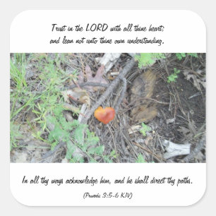 Adesivo Quadrado 3:5 dos provérbio - 6