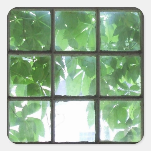 Adesivo Quadrado 3x3 (Frente)