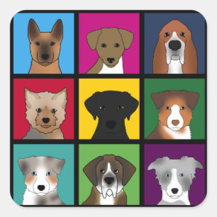 Adesivo Quadrado 3x3 cão