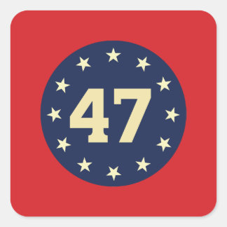 ADESIVO QUADRADO "47" ESTICADORES