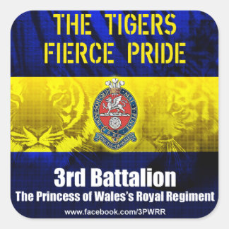 Adesivo Quadrado 6 Autocolantes quadrados de 3 PWRR