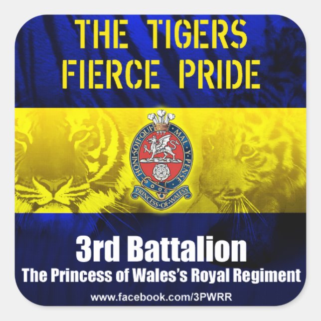 Adesivo Quadrado 6 Autocolantes quadrados de 3 PWRR (Frente)