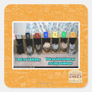 Adesivo Quadrado 7 para fora kittehs do ov 7